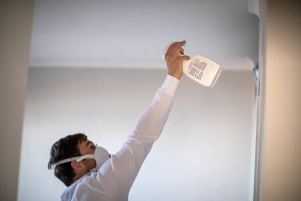 Trusted Bellevue, NE Mold Removal Experts